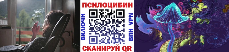 Купить где  Ростов  Галлюциногенные грибы мицелий 