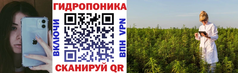 Каннабис план  Купить  Ростов 